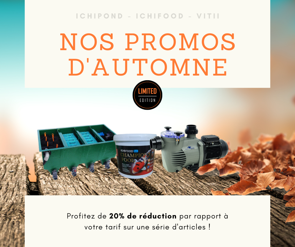 Promotions d'automne