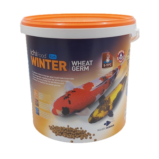 [ICFWIN404N] ICHI FOOD Winter  medium 4-5 mm  4 Kg